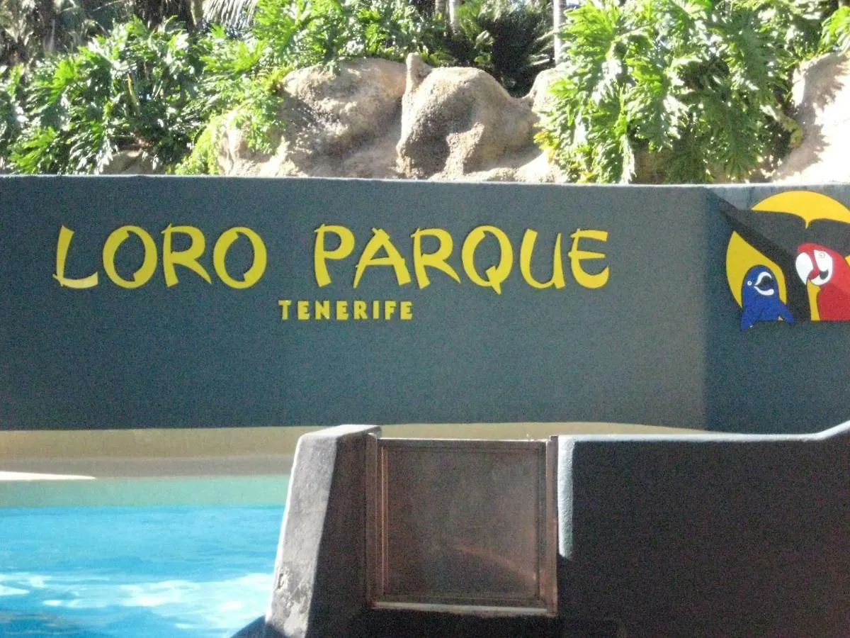 Paula Pool Apartment Adeje Costa Adeje  España
